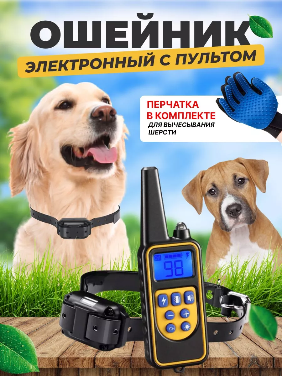 Электроошейник для собак